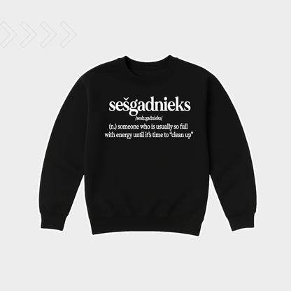 DZEMPERIS SESGADNIEKS, LIELISKA DAVANA DZIMSANAS DIENA SESGADNIEKAM, ORIGINALA DAVANA BERNIEM, ORIGINALA DAVANA DZIMSANAS DIENA, SIX YEAR OLD BIRTHDAY SWEATSHIRT, CUTE BIRTHDAY GIFT FOR KIDS