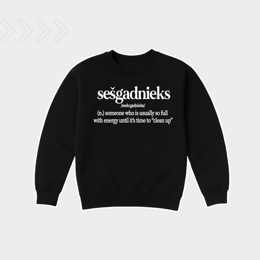 DZEMPERIS SESGADNIEKS, LIELISKA DAVANA DZIMSANAS DIENA SESGADNIEKAM, ORIGINALA DAVANA BERNIEM, ORIGINALA DAVANA DZIMSANAS DIENA, SIX YEAR OLD BIRTHDAY SWEATSHIRT, CUTE BIRTHDAY GIFT FOR KIDS