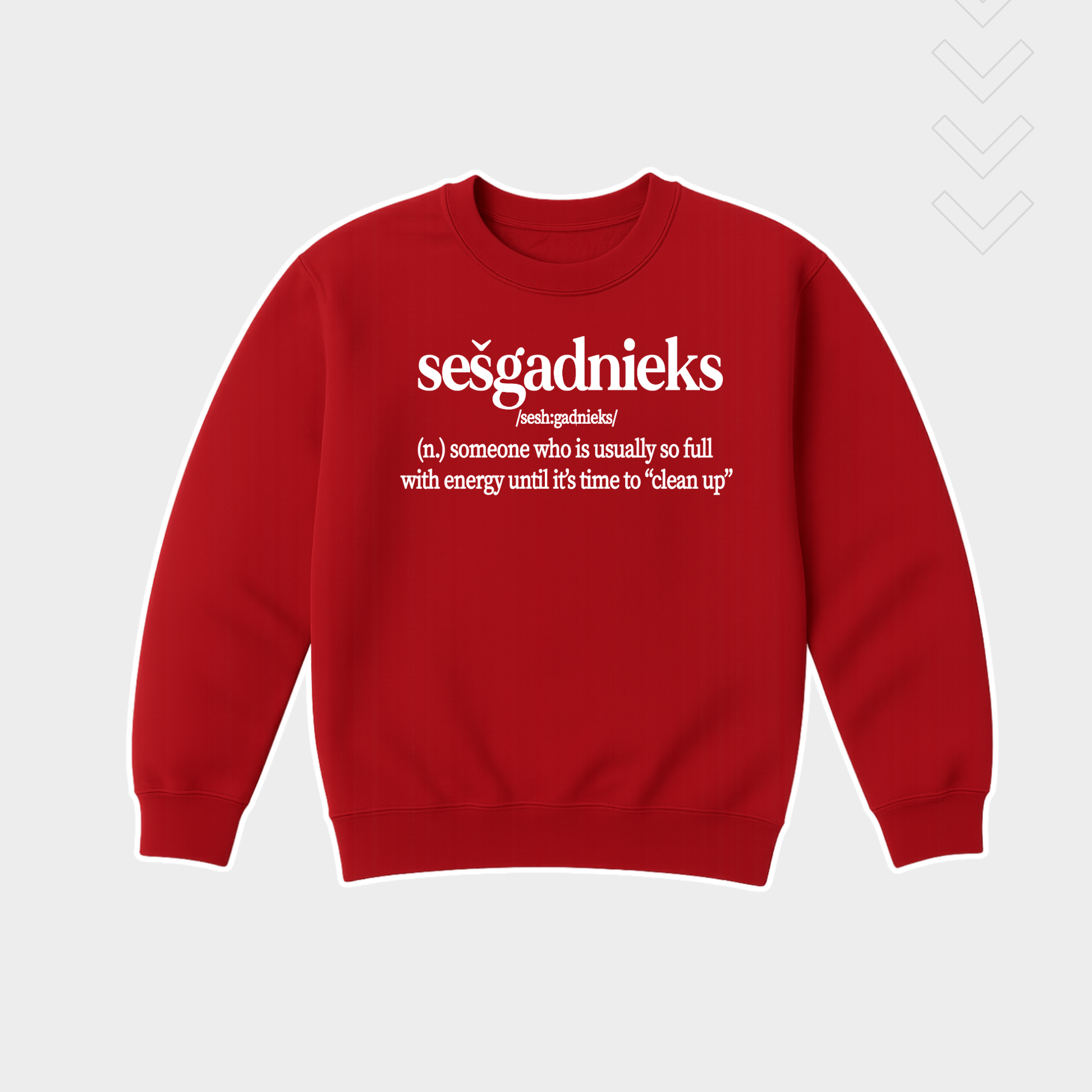 DZEMPERIS SESGADNIEKS, ORIGINALA UN MILA DAVANA DZIMSANAS DIENA SESGADNIEKAM, ORIGINALA DAVANA BERNIEM, ORIGINALA DAVANA DZIMSANAS DIENA, SIX YEAR OLD BIRTHDAY SWEATSHIRT, CUTE BIRTHDAY GIFT FOR KIDS