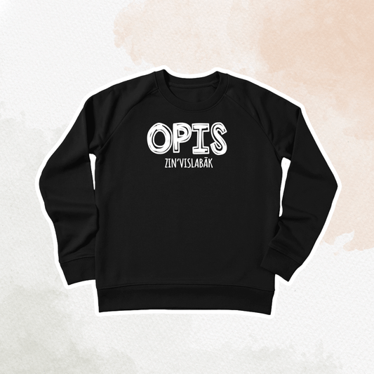 OPIS ZIN' VISLABĀK | DŽEMPERIS