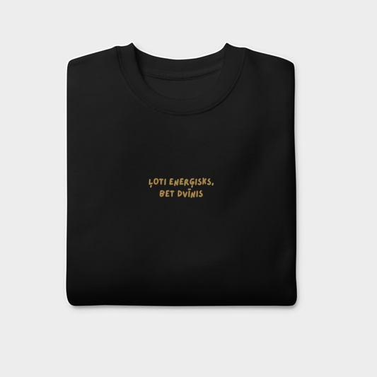 ĻOTI ENERGISKS, BET DVINIS. ORIGINALA DAVANA DZIMSANAS DIENA DVINIM. GEMINI BIRTHDAY SWEATSHIRT