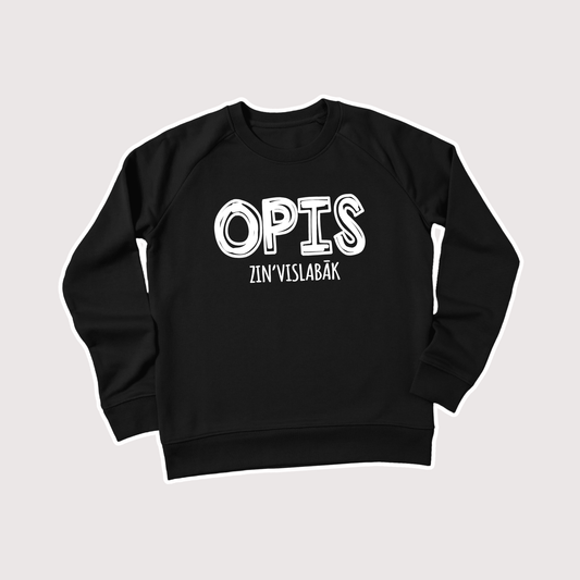 OPIS ZIN’ VISLABĀK  | SWEATER